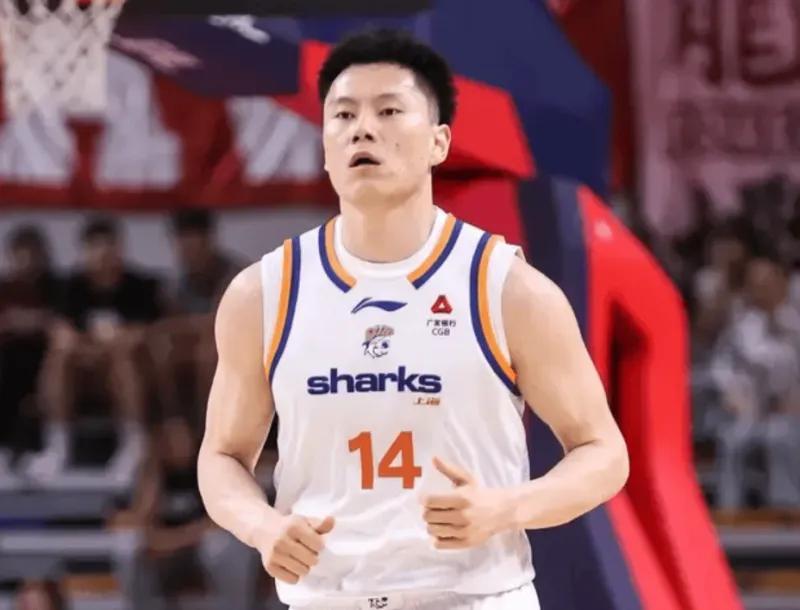 开云体育官网-CBA最佳阵容3人成大赢家!李弘权逐步提升,庞峥麟+徐昕获认可!